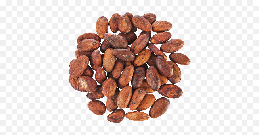 Cacao Png - Caffeine,Cacao Png