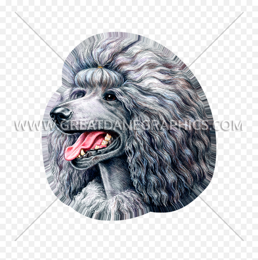 Gray Poodle Production Ready Artwork For T - Shirt Printing Standard Poodle Png,Poodle Png