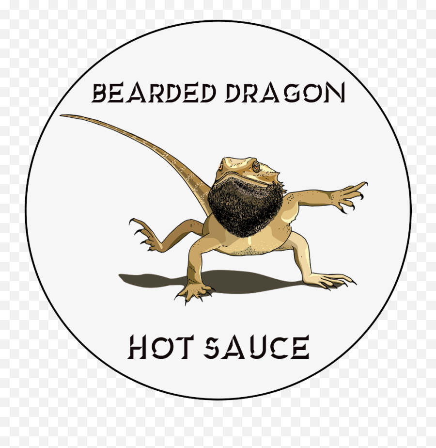 The Bearded Dragon Hot Sauce - Cartoon Png,Bearded Dragon Png