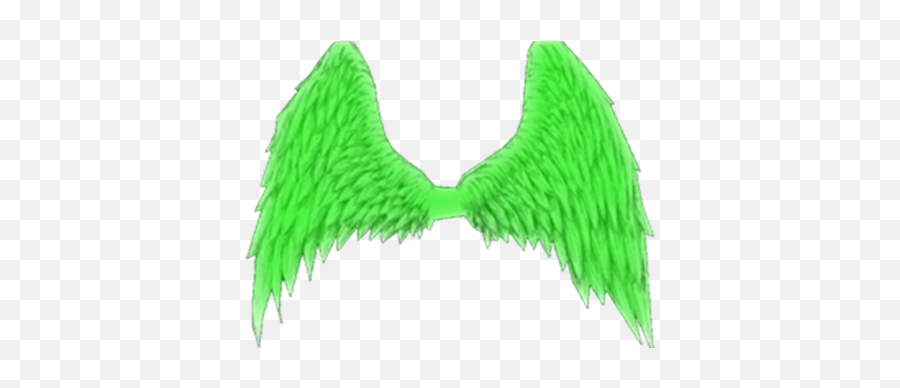 Green Wings Transparent - Green Wings Transparent Png,Wings Transparent