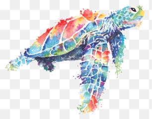 Sea Turtle Painted In Watercolor - Png