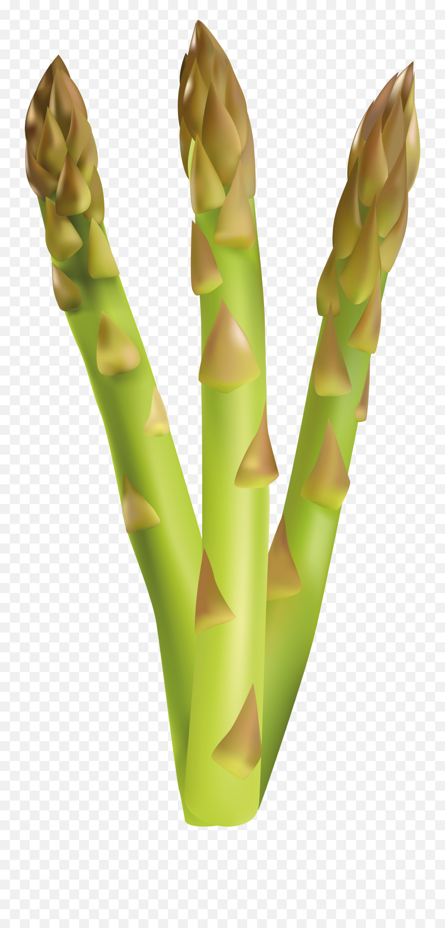 Download Asparagus Clipart - Full Size Png Image Pngkit Asparagus Clipart Png,Asparagus Png