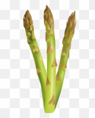 Download Asparagus Clipart - Full Size Png Image Pngkit Asparagus Clipart Png,Asparagus Png
