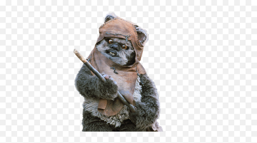 Download Ewok Png - Dumbest Star Wars Characters,Ewok Png