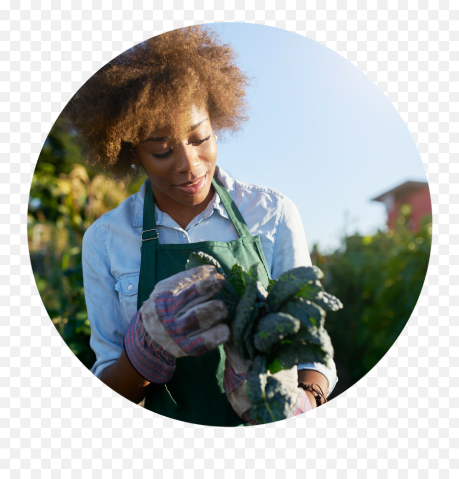 Virginia Cooperative Extension - Virginia State University Png,Gardener Png