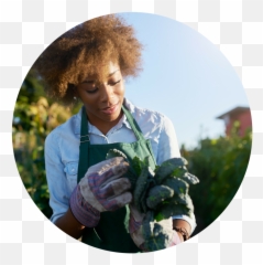 Virginia Cooperative Extension - Virginia State University Png,Gardener Png