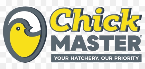 Grub Screw M6 X 6 Flat - Hungry Harbor Png,M6 Logo