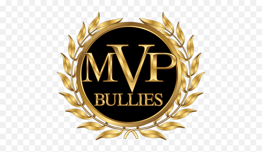 American Bully Xl Xxl Lilac Tri Merle - American Bully Breeder Logo Png,American Bully Logo