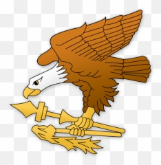 American Flag Eagle Png - Samoa