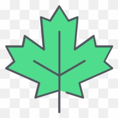 Maple Leaf Vector Svg Icon - Sugar png