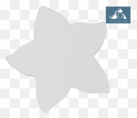 Ice Clear Starfish - Pack Of 3 Movimento Pan Di Stelle Png,Starfish Transparent