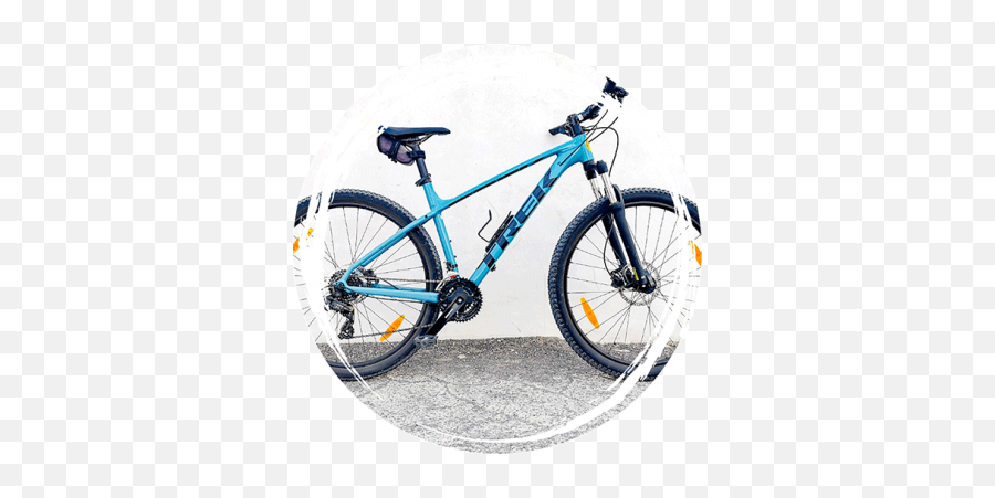 Bike Rental Great Selection Good Prices Riders Surf U0027n - Town Hall Png,Mountain Bike Icon