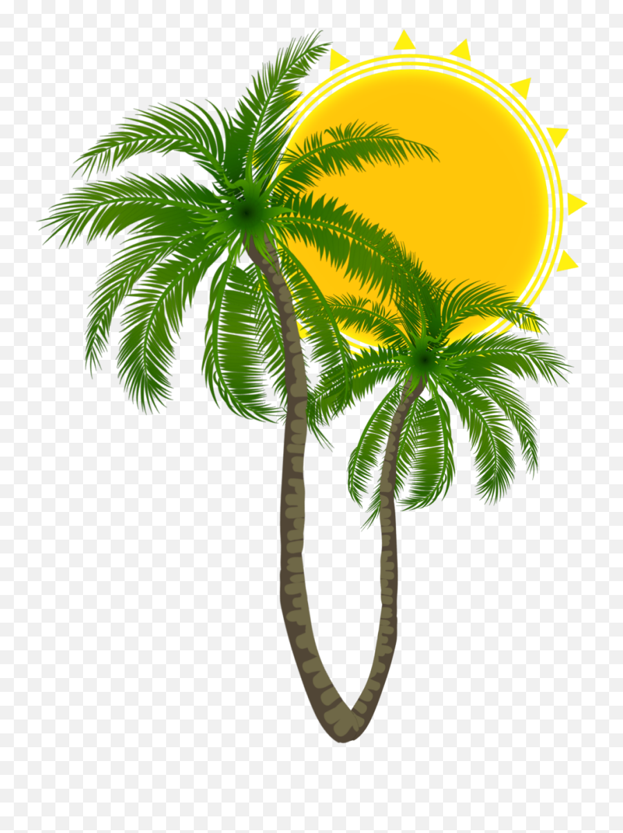 Summer Palmtrees Sun Hellosummer Logo Logos Palmier Pal - Attalea Speciosa Png,Palm Tree Logo