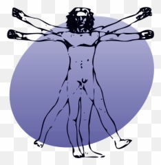 Filep Human Body Violetpng - Wikimedia Commons Mercedes Benz Museum,Cartoon Body Png