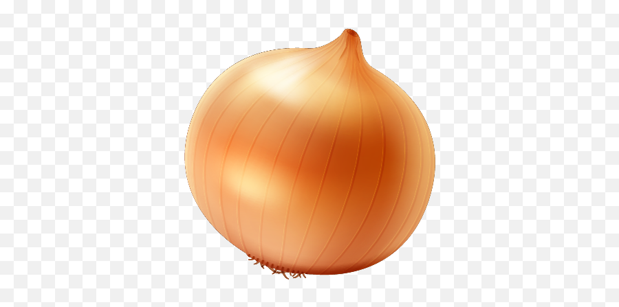 Single Onion Free Png Image Arts - Sphere Onion,Onion Png