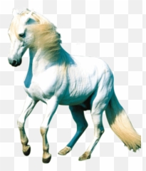4418757 Une Vraie Licorne Png