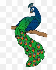 Peacock Png Images - Easy Step Peacock Drawings,Peacock Png
