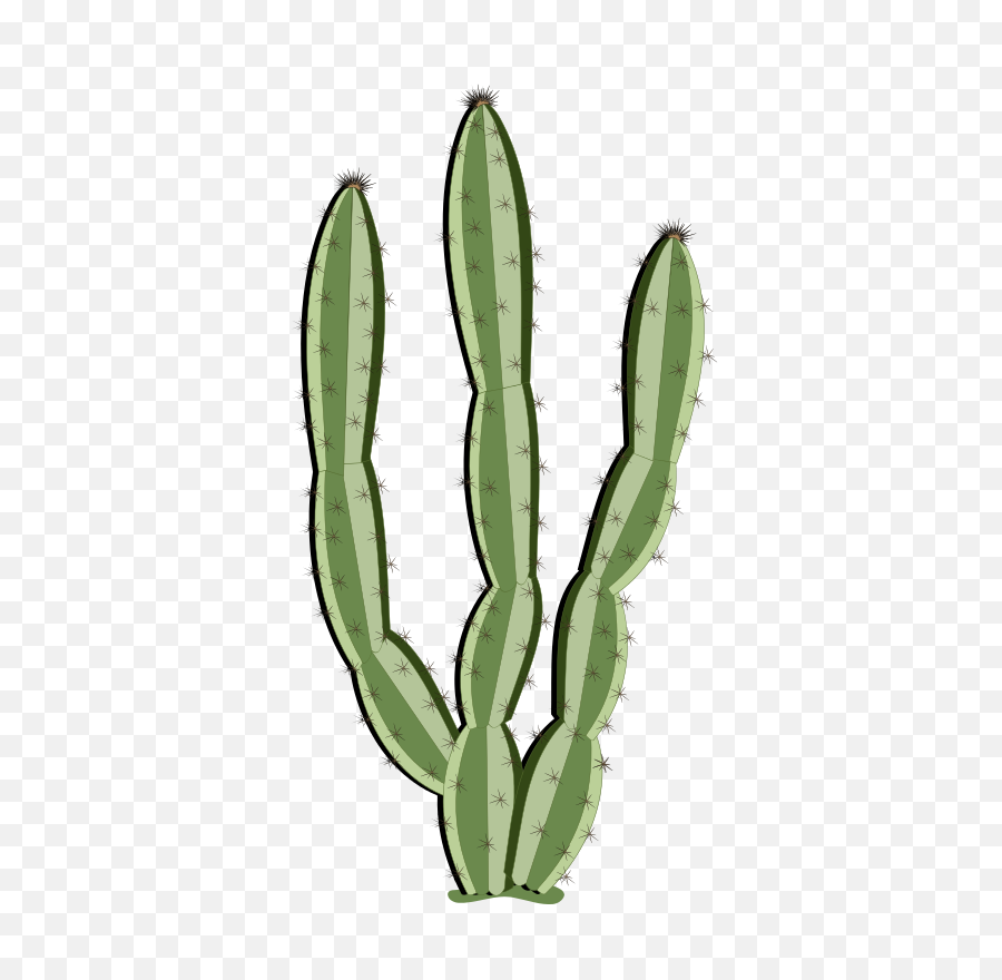 Download Hd Cactus Clipart Saguaro - Saguaro Cactus Transparent Background Clipart Png,Saguaro Png