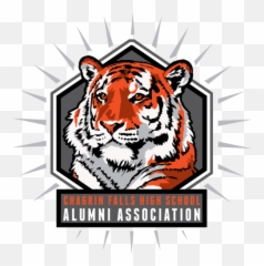 Cropped - Chagrin Falls Tiger png