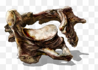 Vertebra Shackle - Dark Souls 3 Vertebra Shackle Png,Shackles Png