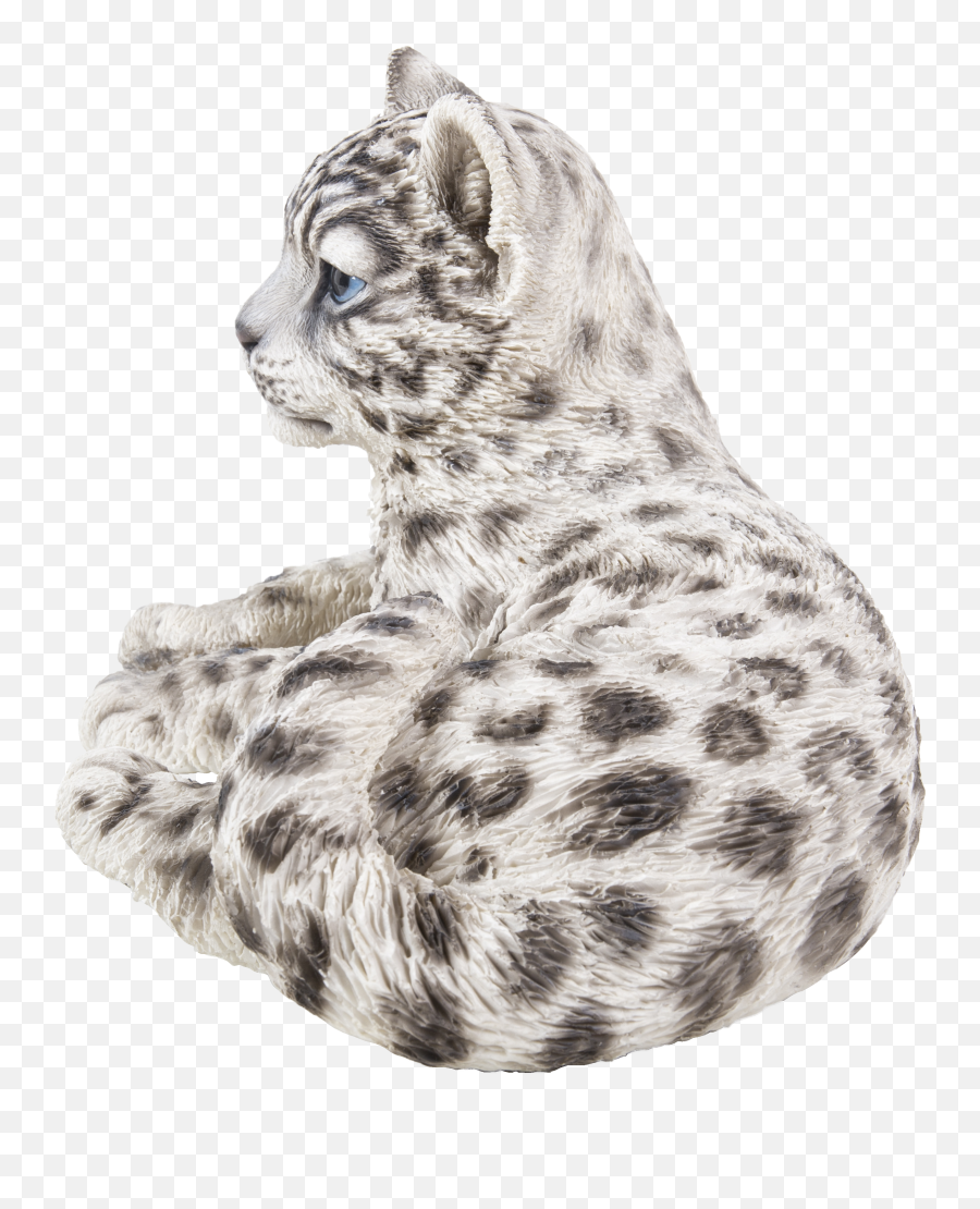 Snow Leopard - Snow Leopard Png,Snow Leopard Png