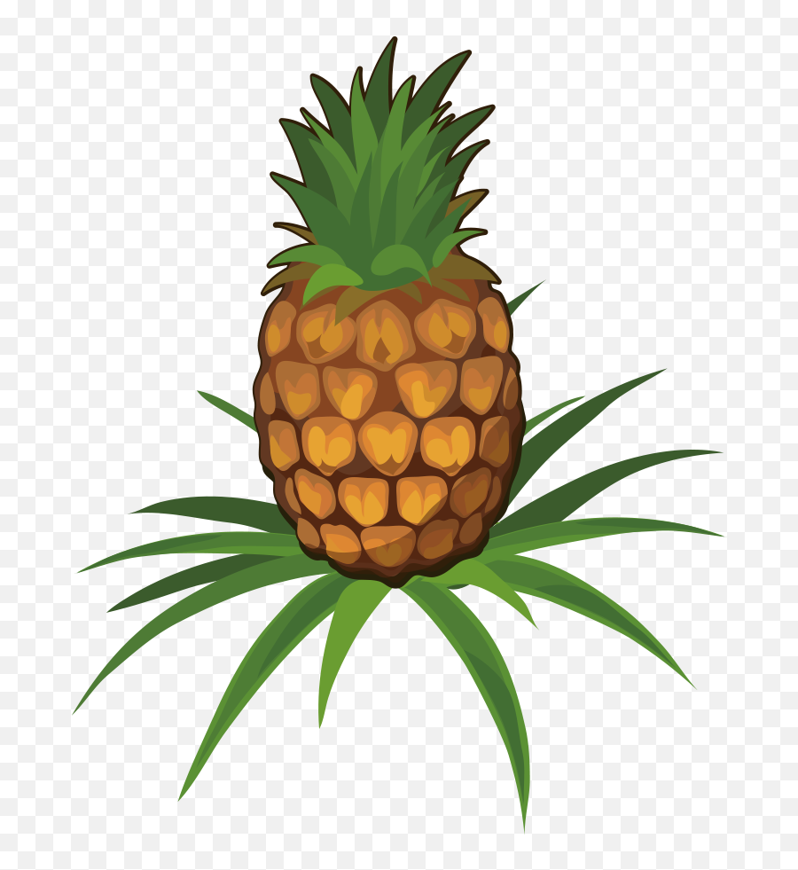 Pineapple Plant Cartoon Png - Animada Dibujo De Piña,Pineapple Cartoon Png
