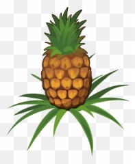 Pineapple Plant Cartoon Png - Animada Dibujo De Piña