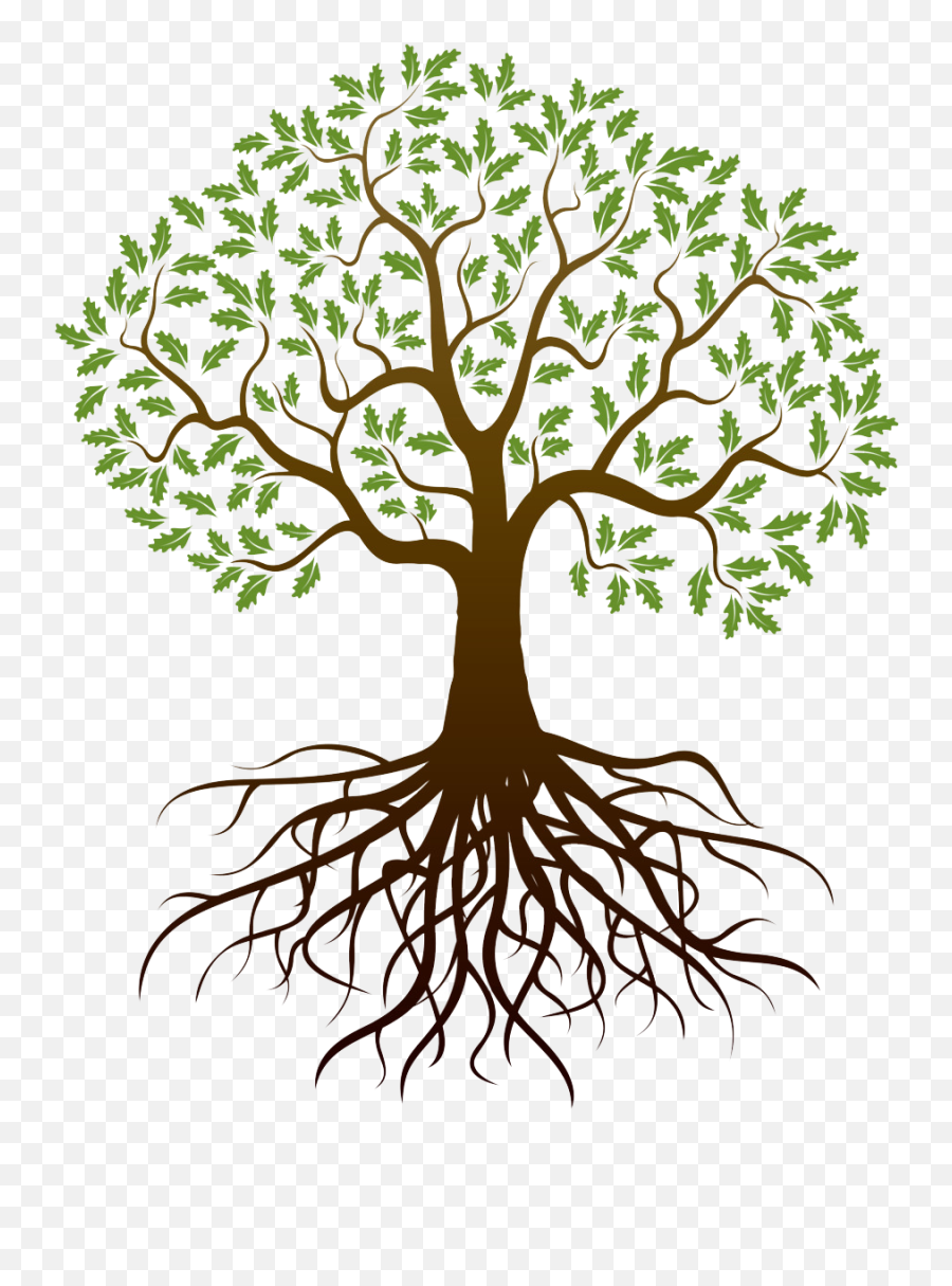 Tree With Roots Transparent Background - Tree Roots Transparent Background Png,Roots Png