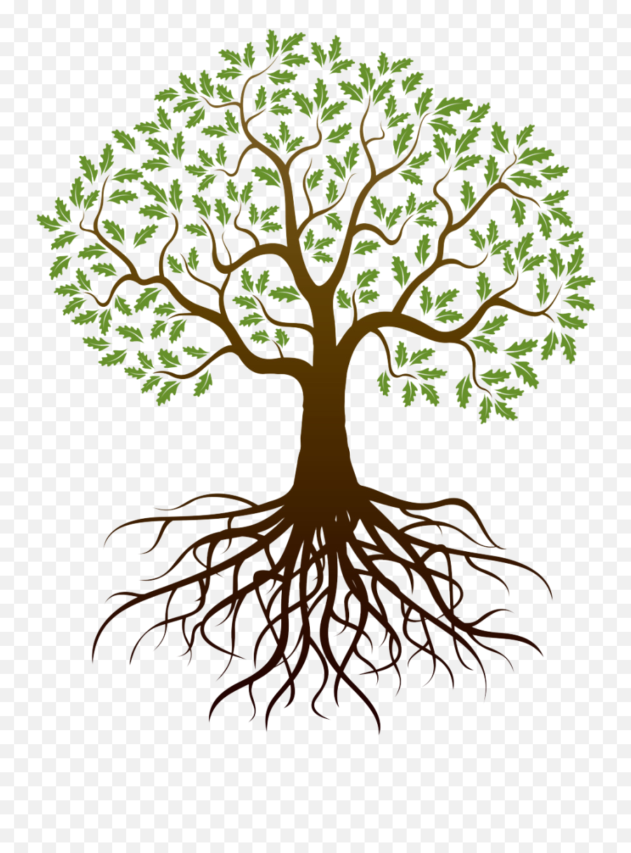 Tree With Roots Transparent Background - Tree Roots Transparent ...