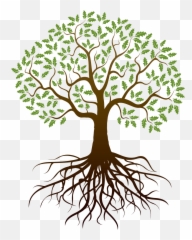 Tree With Roots Transparent Background - png