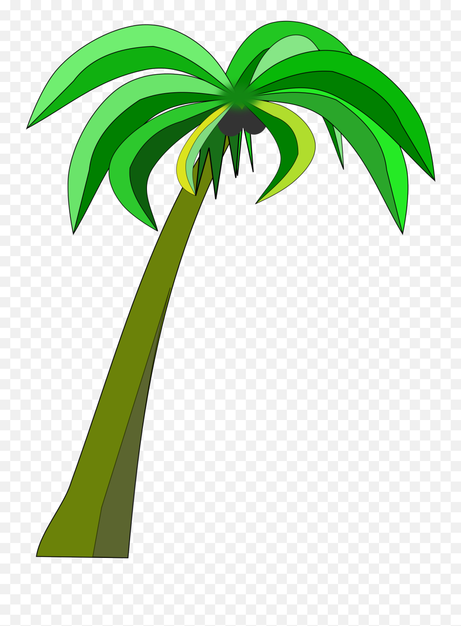 Library Of Palm Tree Png Freeuse Transparent - Coconut Tree Clipart Transparent,Palm Trees Transparent
