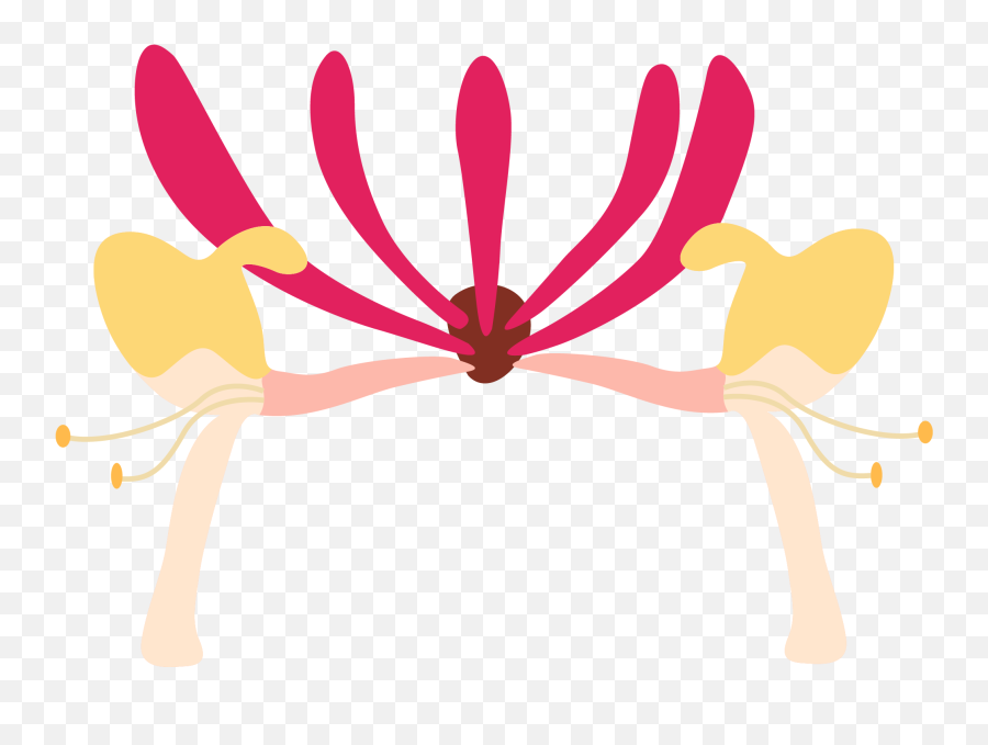 Honeysuckle Flower - Art Png,Honeysuckle Png
