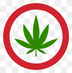 Colgate Lanza Pasta De Dientes Aceite Cáñamo Crónica - Hemp png