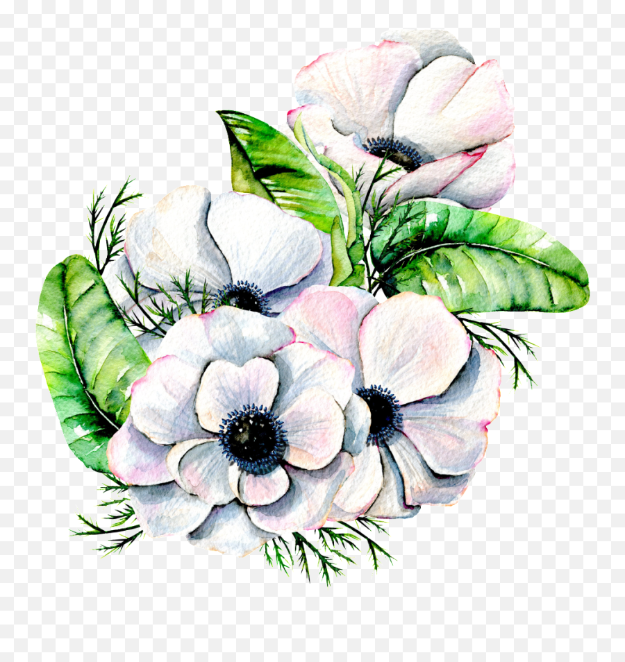 Elegant White Flower Png Transparent - Anemone Watercolor White Flower,Painted Flowers Png