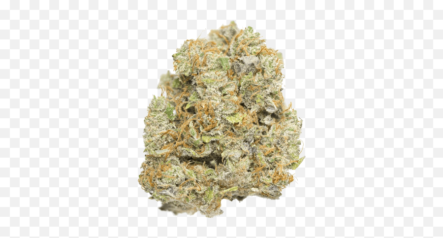 The Best Cbd Bud And High Strains Nov 2020 - Wedding Cake Weed Strain Png,Weed Nugget Png