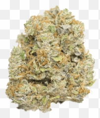 The Best Cbd Bud And High Strains Nov 2020 - Wedding Cake Weed Strain Png,Weed Nugget Png