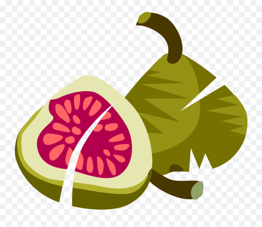 Fig Clip Art - Fig Clip Art Png,Fig Png