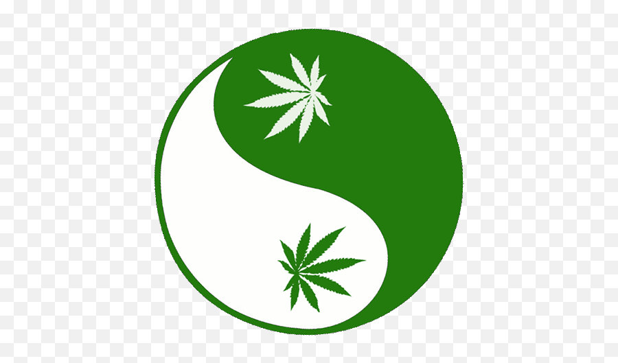25 Weed Marijuana Animated Gif Images - Animated Marijuana Png,Marijuana Leaf Transparent