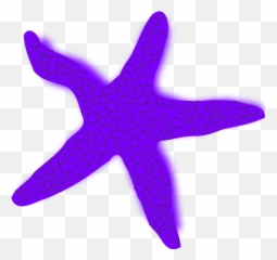Download Starfish Illustrations And Clipart 1 Free - Starfish Clip Art Png,Starfish Transparent