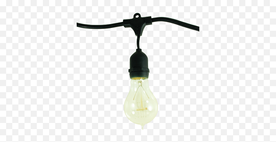 Bulbrite - Lighting Creates Beautiful Living Incandescent Light Bulb Png,String Light Png
