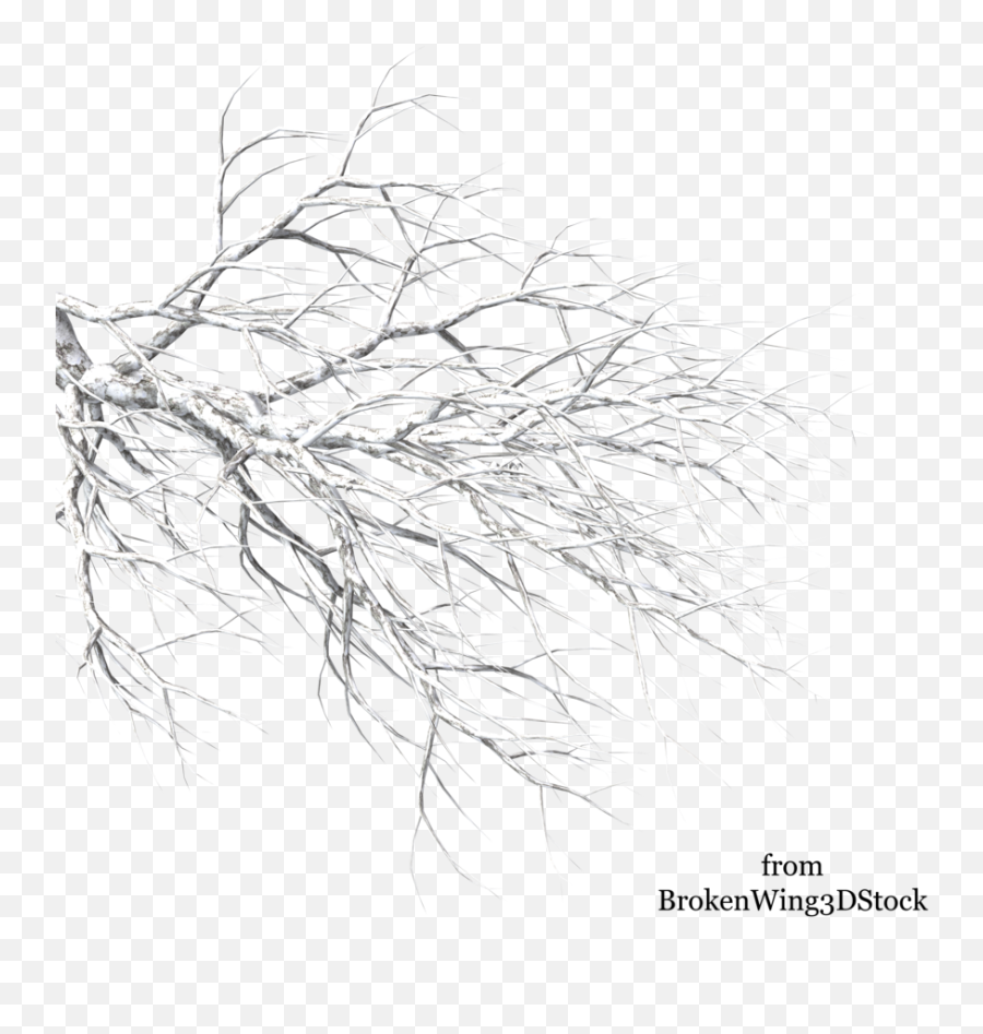 1134767356 A Tree In Winter 784 - Snow On Tree Branches Png,Snowy Trees Png