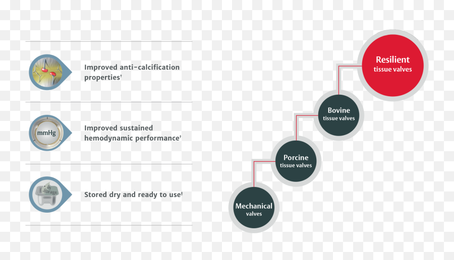 Konect Resilia Aortic Valved Conduit Edwards Lifesciences - Vertical Png,Kinnect Icon