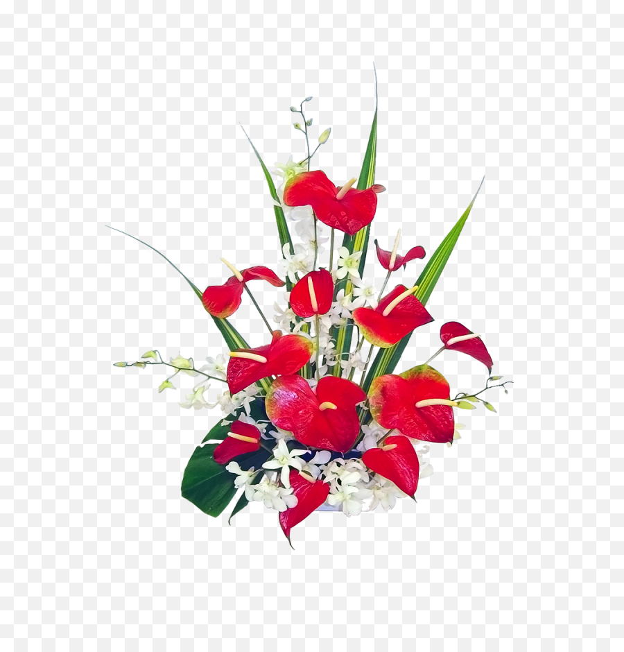 Hawaiian Flowers Clipart Free Download - Auguri Di Buon Congratulations Best Wishes For Promotion Png,Hawaiian Flowers Png