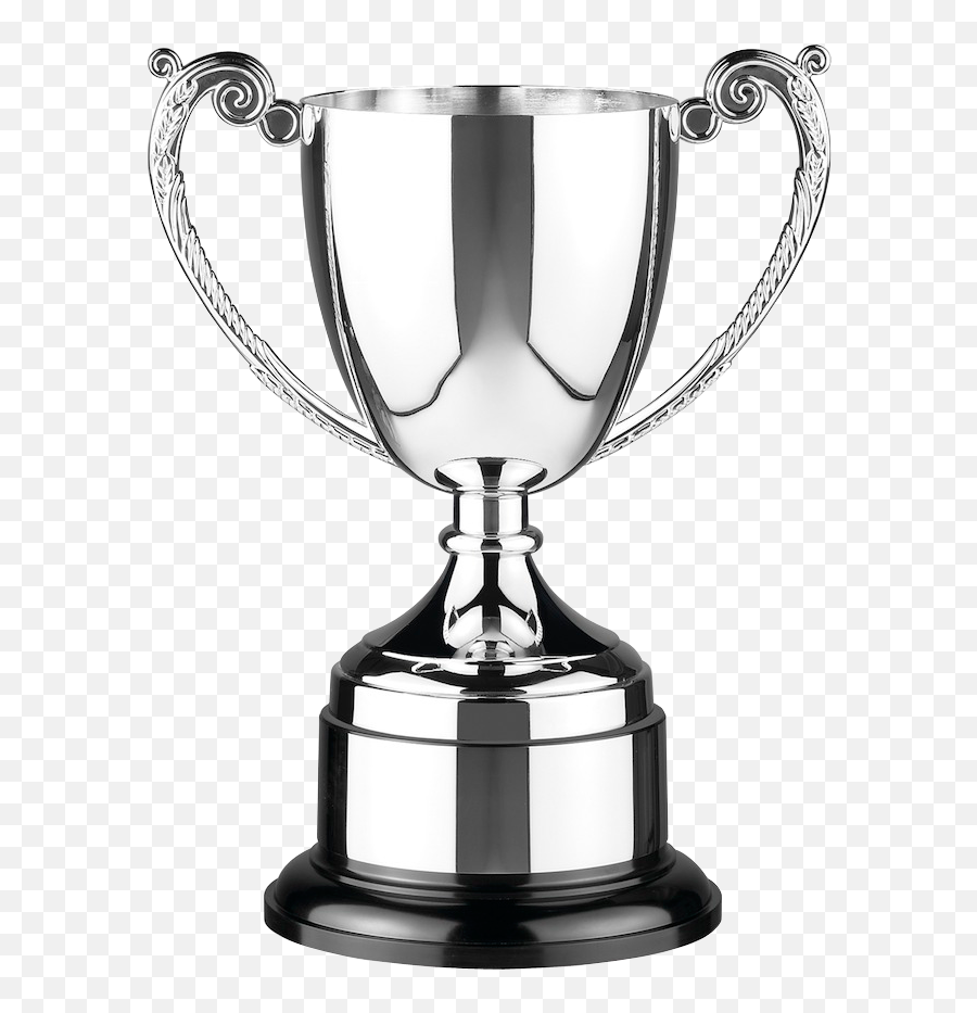Cricket Trophy Png Transparent - Trophy Cup Winners Cup,Trophy Png