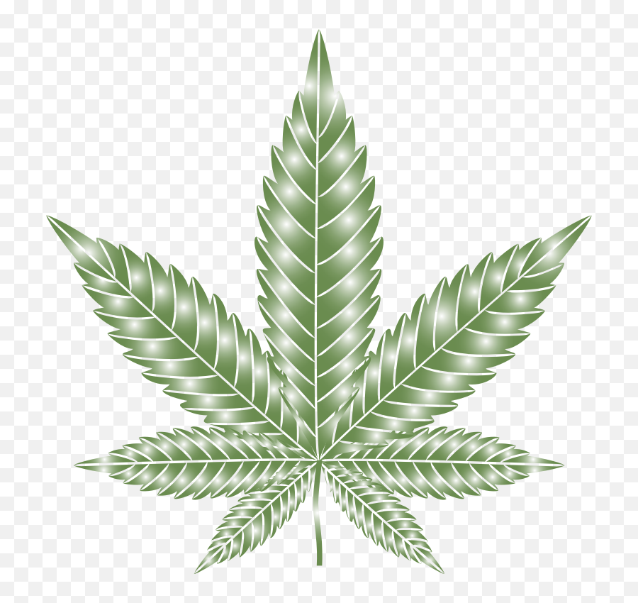 Png Marijuana Leaf Type Ii Prismatic - Transparent Pot Leaf Vector,Marijuana Png