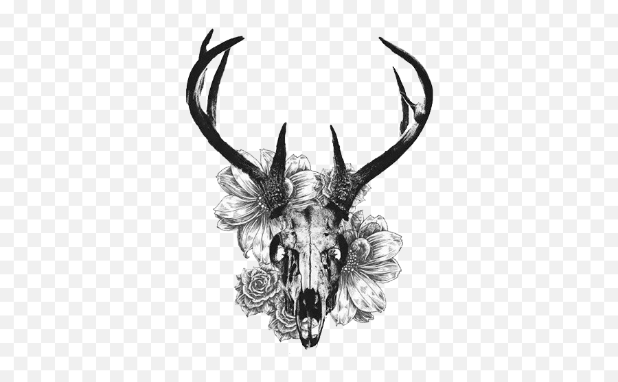 Download And Tattoo Skull Deer White - Tailed Creative Black Tattoo Deer Skull Drawings Png,Deer Skull Png