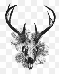 Download And Tattoo Skull Deer White - Tailed Creative Black Drawings png