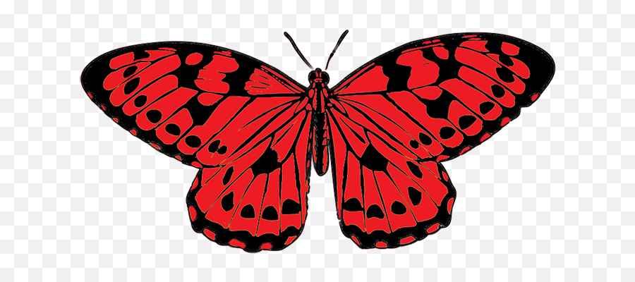 Red And Black Butterfly Png Transparent - Red Butterfly Clipart,Butterfly Png Clipart
