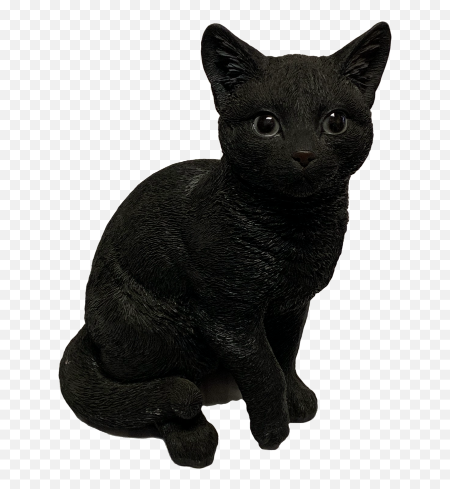 Black Cat Familiar - Black Cat Png,Black Cat Transparent
