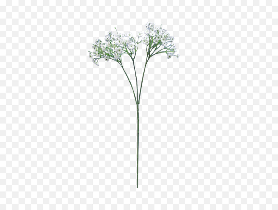 Baby Breath Flower Png Clip Free - Breath Flowers Transparent